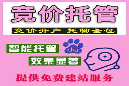 百度推广在电商行业的应用案例